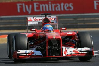 World © Octane Photographic Ltd. F1 Hungarian GP - Hungaroring. Friday 26th July 2013. F1 Practice 1. Scuderia Ferrari F138 - Fernando Alonso. Digital Ref : 0758lw1d0878