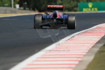 World © Octane Photographic Ltd. F1 Hungarian GP - Hungaroring. Friday 26th July 2013. F1 Practice 1. Scuderia Ferrari F138 - Fernando Alonso. Digital Ref : 0758lw1d1237