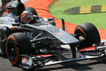 World © Octane Photographic Ltd. F1 Italian GP - Monza, Friday 6th September 2013 - Practice 2. Sauber C32 - Nico Hulkenberg. Digital Ref : 0813lw1d2634