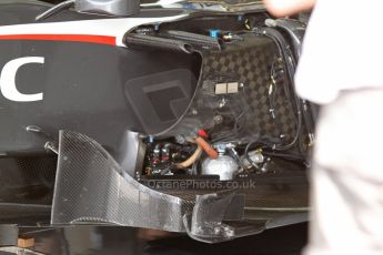 World © Octane Photographic Ltd. F1 Italian GP - Monza, Saturday 7th September 2013 - Qualifying. Sauber C32 sidepod wiring and turning vanes. Digital Ref :