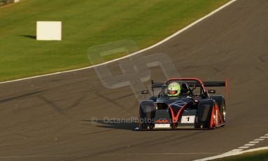 World © Octane Photographic Ltd. BRSCC - OSS Championship. Saturday 14th September 2013. Donington Park. Saturday 14th September 2013 – Race 1. Darcy Smith – Radical SR4. Digital Ref: 0827cj1d7294