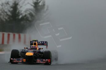 World © Octane Photographic Ltd. Formula 1 Winter testing, Barcelona – Circuit de Catalunya, 28th February 2013. Infiniti Red Bull Racing RB9. Mark Webber. Digital Ref: