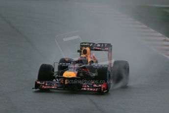 World © Octane Photographic Ltd. Formula 1 Winter testing, Barcelona – Circuit de Catalunya, 28th February 2013. Infiniti Red Bull Racing RB9. Mark Webber. Digital Ref: