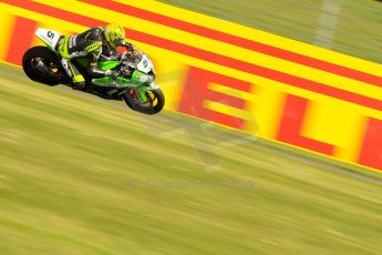 World © Octane Photographic Ltd. World Superbikes (SBK) European GP – Donington Park – Free Practice. Team Pedercini – Kawasaki ZX-10R – Alexander Lundh. Saturday 25th May 2013. Digital Ref : 0698ce1d3536