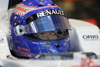 World © Octane Photographic Ltd. Formula 1 - Young Driver Test - Silverstone. Friday 19th July 2013. Day 3. Williams FW35 - Susie Wolff. Digital Ref : 0755lw1d9876