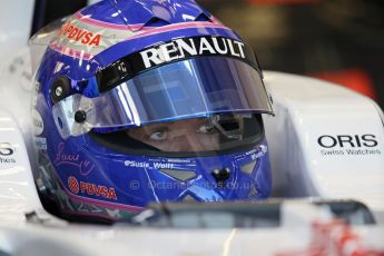 World © Octane Photographic Ltd. Formula 1 - Young Driver Test - Silverstone. Friday 19th July 2013. Day 3. Williams FW35 - Susie Wolff. Digital Ref :  0755lw1d9876