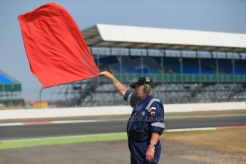 World © Octane Photographic Ltd. Formula 1 - Young Driver Test - Silverstone. Thursday 18th July 2013. Day 2. Red Flag. Digital Ref : 0753lw1d9245