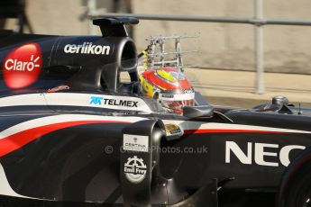 World © Octane Photographic Ltd. Formula 1 - Young Driver Test - Silverstone. Wednesday 17th July 2013. Day 1. Sauber C32 - Robin Frijns. Digital Ref : 0752lw1d5664