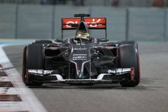 World © Octane Photographic Ltd. Friday 21st November 2014. Abu Dhabi Grand Prix - Yas Marina Circuit - Formula 1 Practice 2. Sauber C33 – Adrian Sutil. Digital Ref: 1161LB1D5517