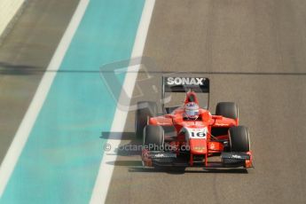 World © Octane Photographic Ltd. Friday 21st November 2014. GP2 Practice – Abu Dhabi GP - Yas Marina Circuit, United Arab Emirates. Rene Binder - Arden International. Digital Ref : 1159CB1D6015