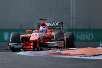 World © Octane Photographic Ltd. Friday 21st November 2014. GP2 Practice – Abu Dhabi GP - Yas Marina Circuit, United Arab Emirates. Rene Binder - Arden International. Digital Ref : 1159LB1D3734