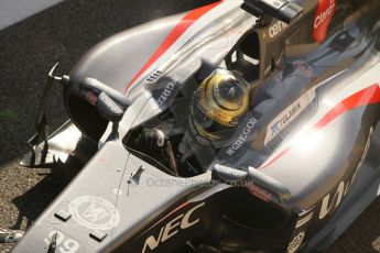 World © Octane Photographic Ltd. Saturday 22nd November 2014. Abu Dhabi Grand Prix - Formula 1 Practice 3. Sauber C33 – Adrian Sutil. Digital Ref: 1165CB1D8066