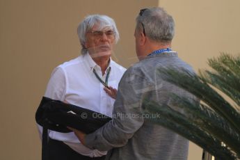 World © Octane Photographic Ltd. Saturday 22nd November 2014. Abu Dhabi Grand Prix - Formula 1 Practice 3. Bernie Ecclestone. Digital Ref: 1165CB7D8498