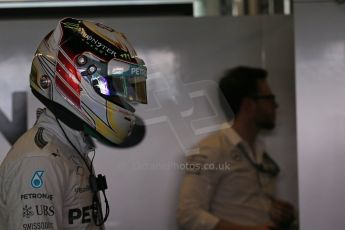 World © Octane Photographic Ltd. Saturday 22nd November 2014. Abu Dhabi Grand Prix - Yas Marina Circuit - Formula 1 Practice 3. Mercedes AMG Petronas F1 W05 – Lewis Hamilton. Digital Ref: 1165LB1D0184