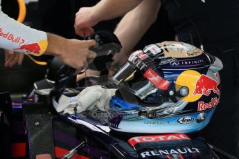 World © Octane Photographic Ltd. Saturday 22nd November 2014. Abu Dhabi Grand Prix - Yas Marina Circuit - Formula 1 Practice 3. Infiniti Red Bull Racing RB10 – Daniel Ricciardos helment. Digital Ref: 1165LB1D0266