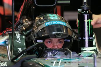 World © Octane Photographic Ltd. Saturday 22nd November 2014. Abu Dhabi Grand Prix - Yas Marina Circuit - Formula 1 Practice 3. Mercedes AMG Petronas F1 W05 - Nico Rosberg. Digital Ref: 1165LB1D0348