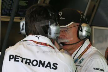World © Octane Photographic Ltd. Saturday 22nd November 2014. Abu Dhabi Grand Prix - Yas Marina Circuit - Formula 1 Practice 3. Mercedes AMG Petronas F1- Toto Wolff and Dieter Zetsche. Digital Ref: 1165LB1D0359