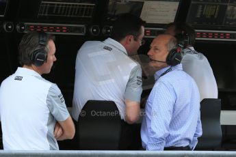 World © Octane Photographic Ltd. Saturday 22nd November 2014. Abu Dhabi Grand Prix - Formula 1 Practice 3. McLaren Mercedes - Ron Dennis, Sam Michael and Eric Boullier. Digital Ref: 1165LB1D0440