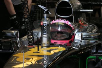 World © Octane Photographic Ltd. Saturday 22nd November 2014. Abu Dhabi Grand Prix - Formula 1 Practice 3. McLaren Mercedes MP4/29 - Jenson Button. Digital Ref: 1165LB1D0494