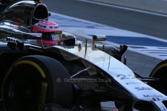 World © Octane Photographic Ltd. Saturday 22nd November 2014. Abu Dhabi Grand Prix - Formula 1 Practice 3. McLaren Mercedes MP4/29 - Jenson Button. Digital Ref: 1165LB1D0570
