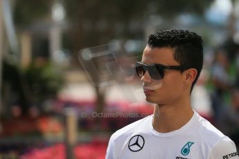 World © Octane Photographic Ltd. Saturday 22nd November 2014. Abu Dhabi Grand Prix - Yas Marina Circuit - Formula 1 Practice 3. Mercedes AMG Petronas F1 - young driver Pascal Wehrlein. Digital Ref: 1165LB1D9860