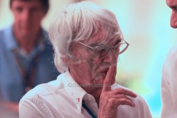 World © Octane Photographic Ltd. 2014 Formula 1 Abu Dhabi Grand Prix, F1 Qualifying, Saturday 22nd November 2014. Bernie Ecclestone. Digital Ref : 1166CB1D9026