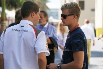 World © Octane Photographic Ltd. Sunday 23rd November 2014. Abu Dhabi Grand Prix - Yas Marina Circuit - Marcus Ericsson at Sauber. Digital Ref: