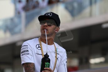 World © Octane Photographic Ltd. Sunday 23rd November 2014. Abu Dhabi Grand Prix - Yas Marina Circuit - Formula 1 Drivers Parade. Mercedes AMG Petronas - Lewis Hamilton. Digital Ref: