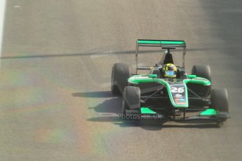 World © Octane Photographic Ltd.  Friday 21st November 2014. GP3 Practice – Abu Dhabi GP - Yas Marina Circuit, United Arab Emirates. Nick Yelloly – Status Grand Prix. Digital Ref : 1157CB1D5606