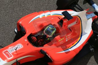 World © Octane Photographic Ltd.  Sunday 23rd November 2014. GP3 Race 2 – Abu Dhabi GP - Yas Marina Circuit, United Arab Emirates. Robert Visoiu– Arden International. Digital Ref : 1169CB1D6594