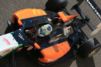 World © Octane Photographic Ltd. Sunday 23rd November 2014. GP3 Race 2 – Abu Dhabi GP - Yas Marina Circuit, United Arab Emirates. Riccardo Agostini - Hilmer Motorsport. Digital Ref :1169CB1D6653