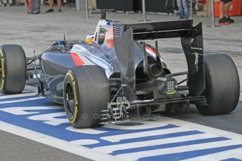 World © Octane Photographic Ltd. Tuesday 25th November 2014. Abu Dhabi Testing - Yas Marina Circuit. Sauber C33 – Marcus Ericsson. Digital Ref: