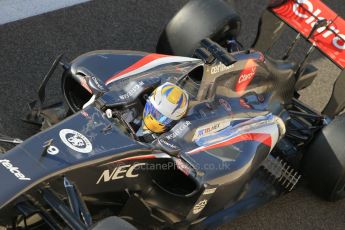 World © Octane Photographic Ltd. Wednesday 26th November 2014. Abu Dhabi Testing - Yas Marina Circuit. Sauber C33 – Marcus Ericsson. Digital Ref : 1175CB1D8811
