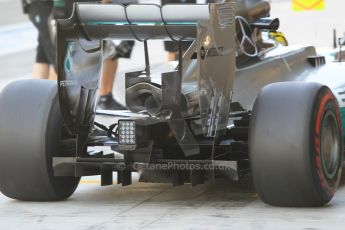 World © Octane Photographic Ltd. Wednesday 26th November 2014. Abu Dhabi Testing - Yas Marina Circuit. Mercedes AMG Petronas F1 W05 Hybrid - Pascal Wehrlein. Digital Ref: 1175CB1D9289
