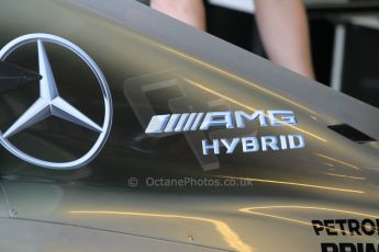 World © Octane Photographic Ltd. Wednesday 26th November 2014. Abu Dhabi Testing - Yas Marina Circuit. Mercedes AMG Petronas F1 W05 Hybrid - Pascal Wehrlein. Digital Ref: 1175CB1D9607
