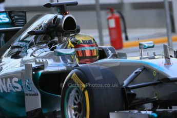 World © Octane Photographic Ltd. Wednesday 26th November 2014. Abu Dhabi Testing - Yas Marina Circuit. Mercedes AMG Petronas F1 W05 Hybrid - Pascal Wehrlein. Digital Ref: 1175LB1D8413