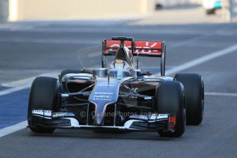 World © Octane Photographic Ltd. Wednesday 26th  November 2014. Abu Dhabi Testing - Yas Marina Circuit. Sauber C33 – Marcus Ericsson. Digital Ref : 1175LB1D8690
