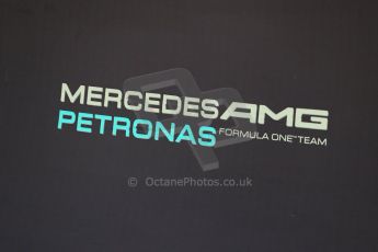 World © Octane Photographic Ltd. Wednesday 26th  November 2014. Abu Dhabi Testing - Yas Marina Circuit. Mercedes AMG Petronas F1. Digital Ref: 1175LB1D8755