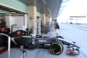 World © Octane Photographic Ltd. Wednesday 26th November 2014. Abu Dhabi Testing - Yas Marina Circuit. Sauber C33 – Marcus Ericsson. Digital Ref : 1175LB7L9916