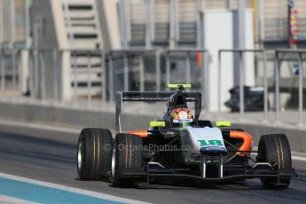 World © Octane Photographic Ltd. Thursday 27th November 2014. GP3 Testing - Yas Marina, United Arab Emirates. Ling Kang - Hilmer Motorsport. Digital Ref : 1176LB1D9337
