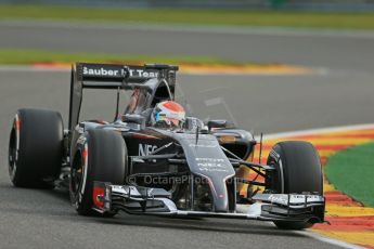 World © Octane Photographic Ltd. Friday 22nd August 2014, Belgian GP, Spa-Francorchamps. - Formula 1 Practice 1. Sauber C33 – Adrian Sutil. Digital Ref: 1079LB1D6524