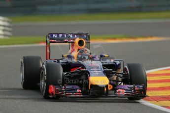 World © Octane Photographic Ltd. Friday 22nd August 2014, Belgian GP, Spa-Francorchamps. Formula 1 Practice 1. Infiniti Red Bull Racing RB10 - Sebastian Vettel. Digital Ref: 1079LB1D6597