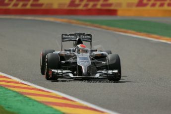 World © Octane Photographic Ltd. Friday 22nd August 2014, Belgian GP, Spa-Francorchamps. - Formula 1 Practice 2. Sauber C33 – Adrian Sutil. Digital Ref: 1080LB1D7371