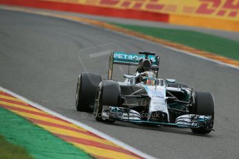 World © Octane Photographic Ltd. Friday 22nd August 2014, Belgian GP, Spa-Francorchamps. - Formula 1 Practice 2. Mercedes AMG Petronas F1 W05 Hybrid – Lewis Hamilton. Digital Ref: 1080LB1D7470