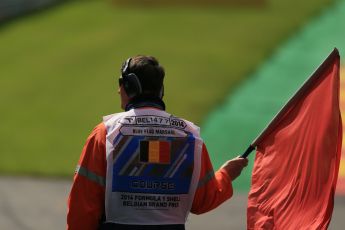 World © Octane Photographic Ltd. Friday 22nd August 2014, Belgian GP, Spa-Francorchamps. - Formula 1 Practice 2. Red Flag. Digital Ref: 1080LB1D7748