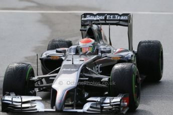 World © Octane Photographic Ltd. Saturday 23rd August 2014, Belgian GP, Spa-Francorchamps. - Formula 1 Practice 3. Sauber C33 – Adrian Sutil. Digital Ref: 1083LB1D8539