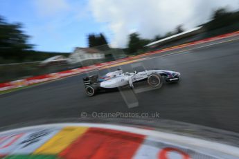 World © Octane Photographic Ltd. Saturday 23rd August 2014, Belgian GP, Spa-Francorchamps. - Formula 1 Practice 3. Williams Martini Racing FW36 – Felipe Massa. Digital Ref: 1083LB1D8896
