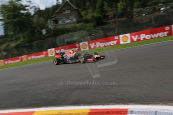 World © Octane Photographic Ltd. Saturday 23rd August 2014, Belgian GP, Spa-Francorchamps. - Formula 1 Practice 3. Infiniti Red Bull Racing RB10 – Daniel Ricciardo. Digital Ref: 1083LB1D9500