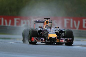 World © Octane Photographic Ltd. Saturday 23rd August 2014, Belgian GP, Spa-Francorchamps. Formula 1 Qualifying. Infiniti Red Bull Racing RB10 - Sebastian Vettel. Digital Ref: 1084LB1D0123