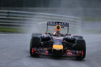 World © Octane Photographic Ltd. Saturday 23rd August 2014, Belgian GP, Spa-Francorchamps. Formula 1 Qualifying. Infiniti Red Bull Racing RB10 - Sebastian Vettel. Digital Ref: 1084LB1D9657